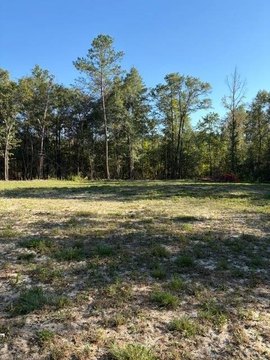 Land, Dozier, AL