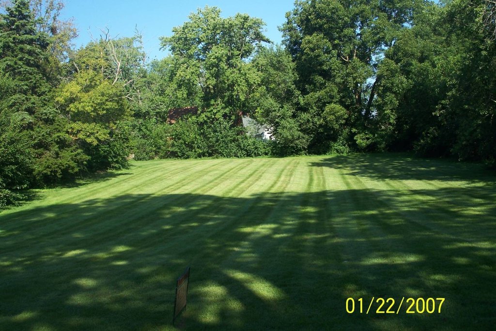 Picture 2