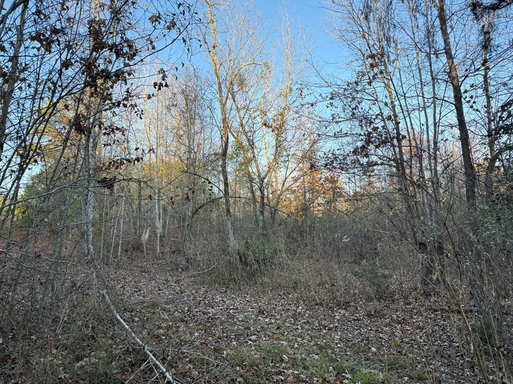 Picture 4