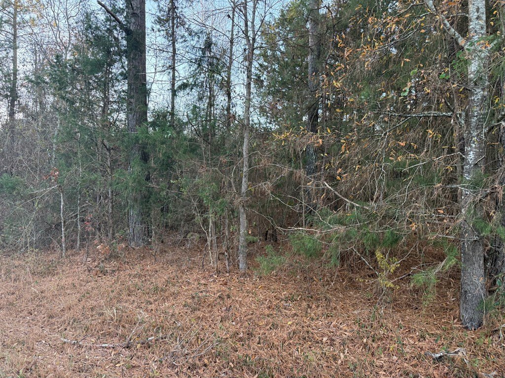 Picture 2