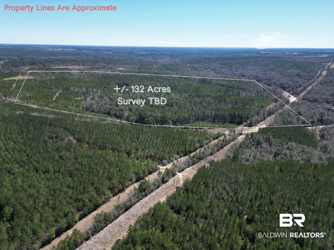Timbered Land With Road Access