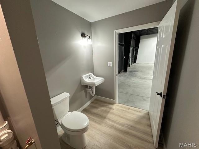 Picture 11