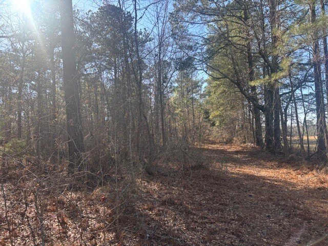 Picture 3
