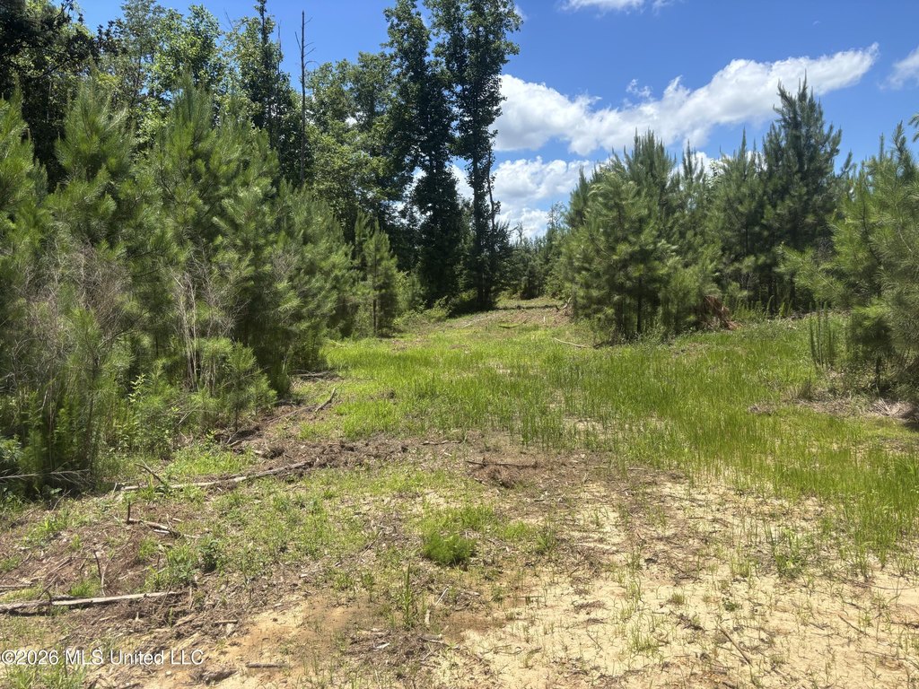 Picture 14