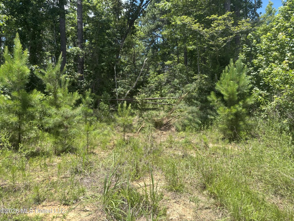 Picture 26