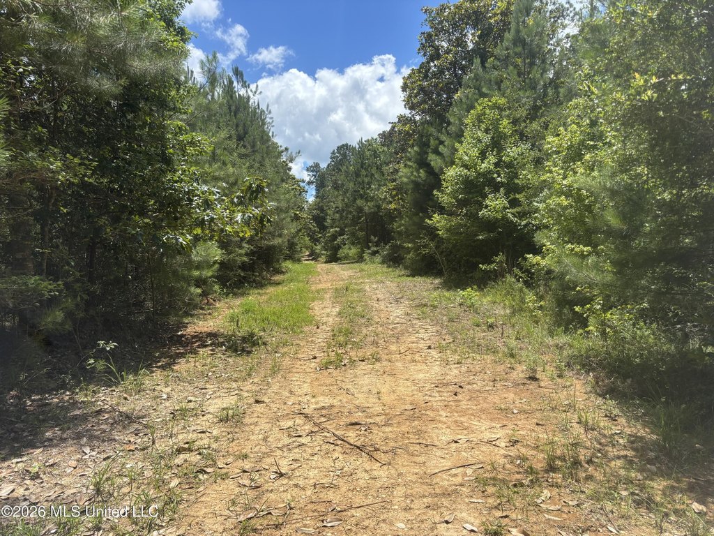 Picture 57