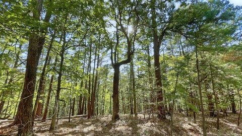 Residential Lot Near Illinois River