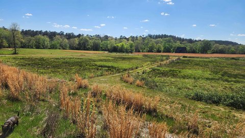 Land Near Ouachita National Forest