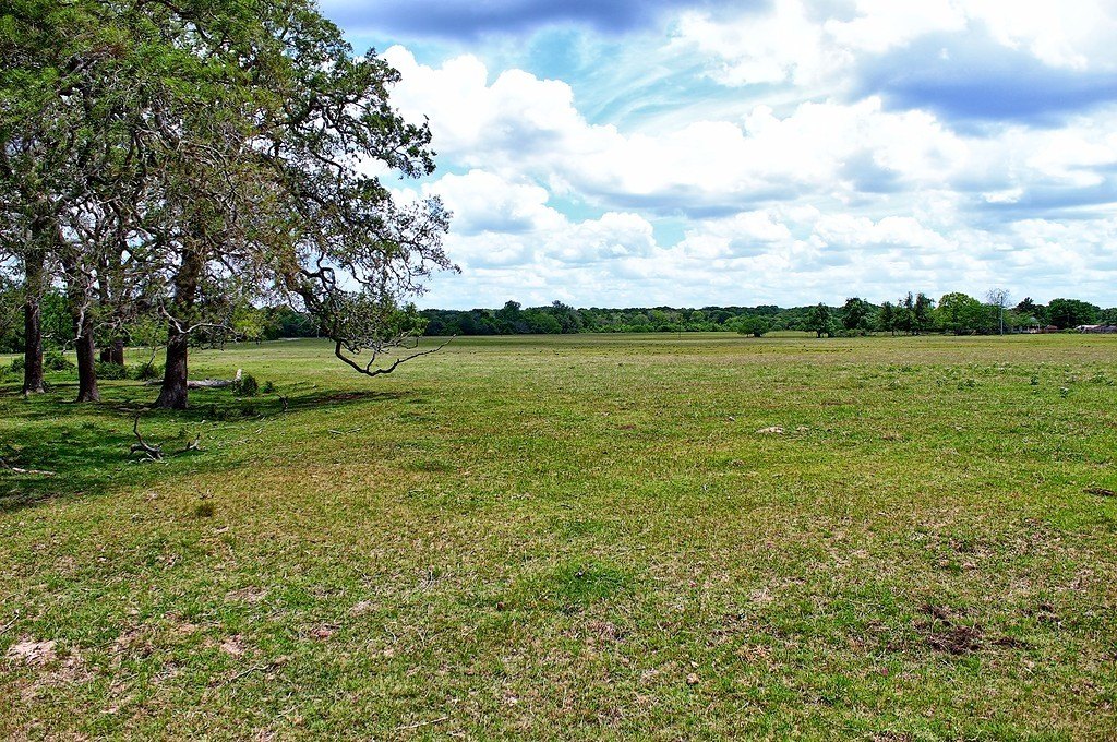 Picture 29