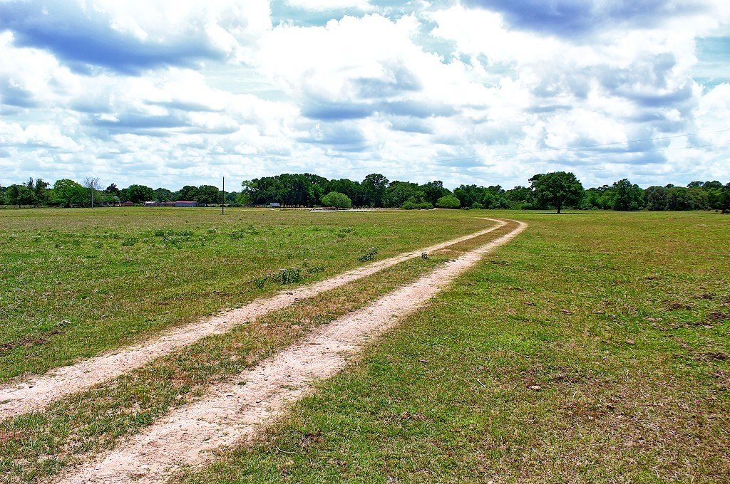 Picture 21