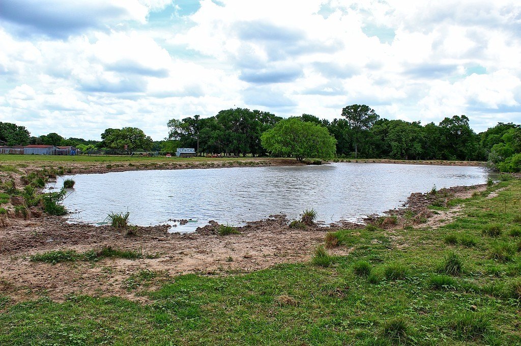Picture 24