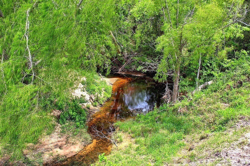 Picture 16