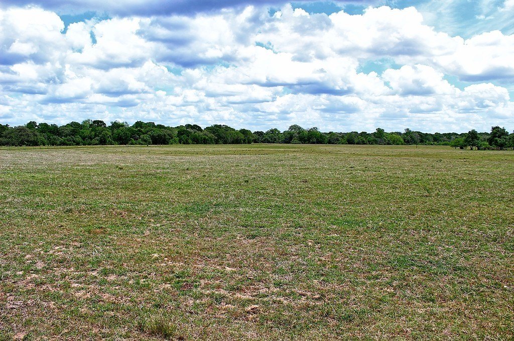Picture 28