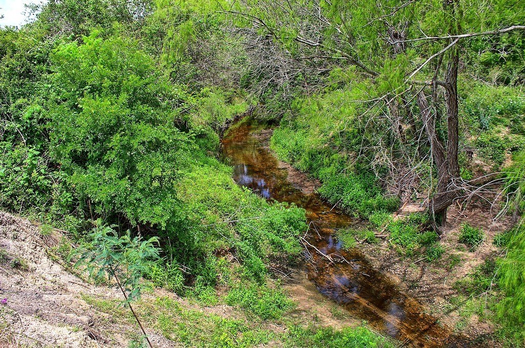 Picture 18