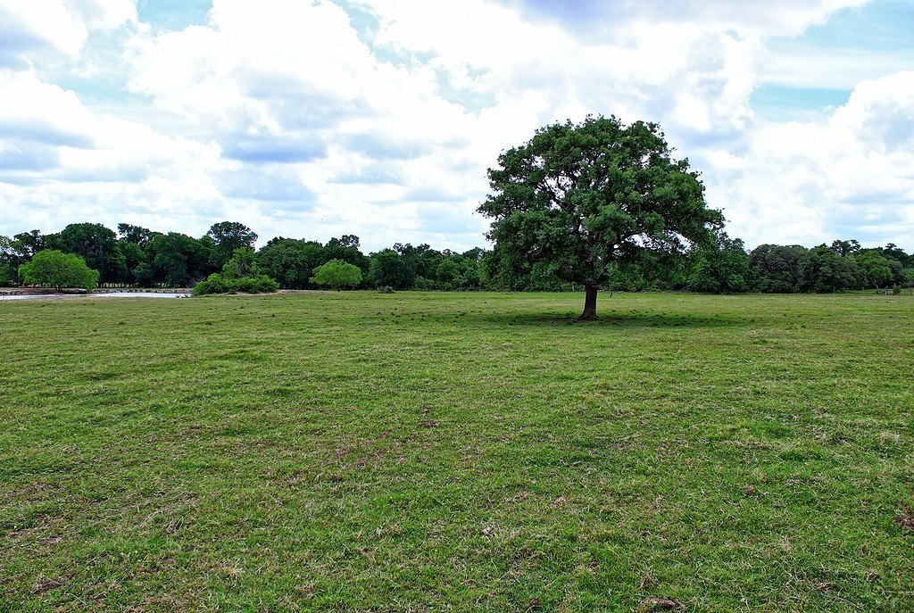 Picture 26