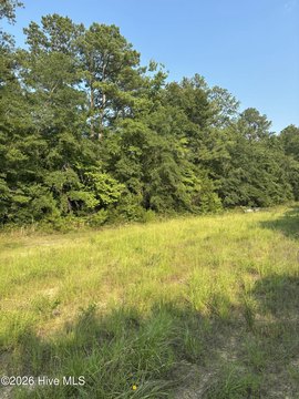 LAND - Gibson, GA