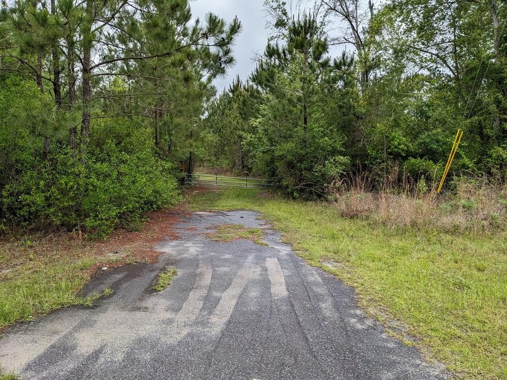 Picture 21