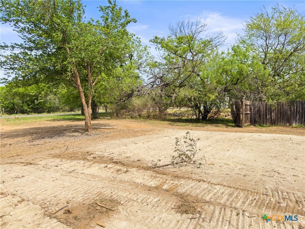 Picture 14