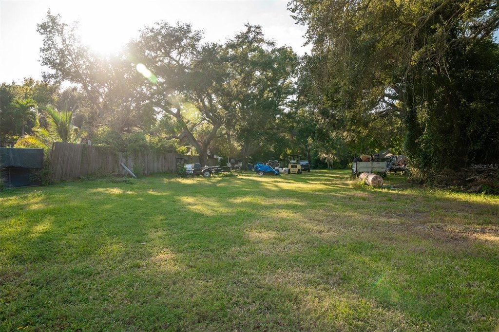 Picture 8