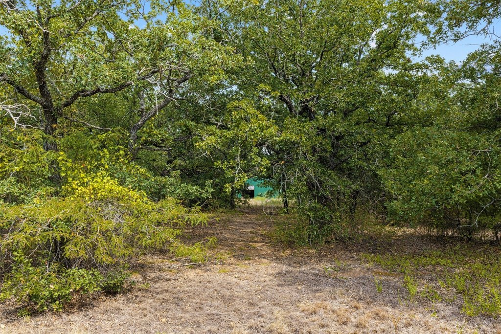 Picture 14