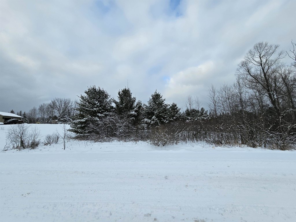 Picture 14
