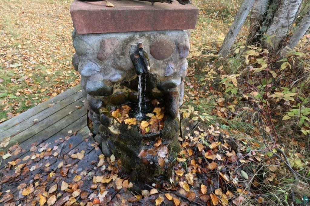 Picture 7