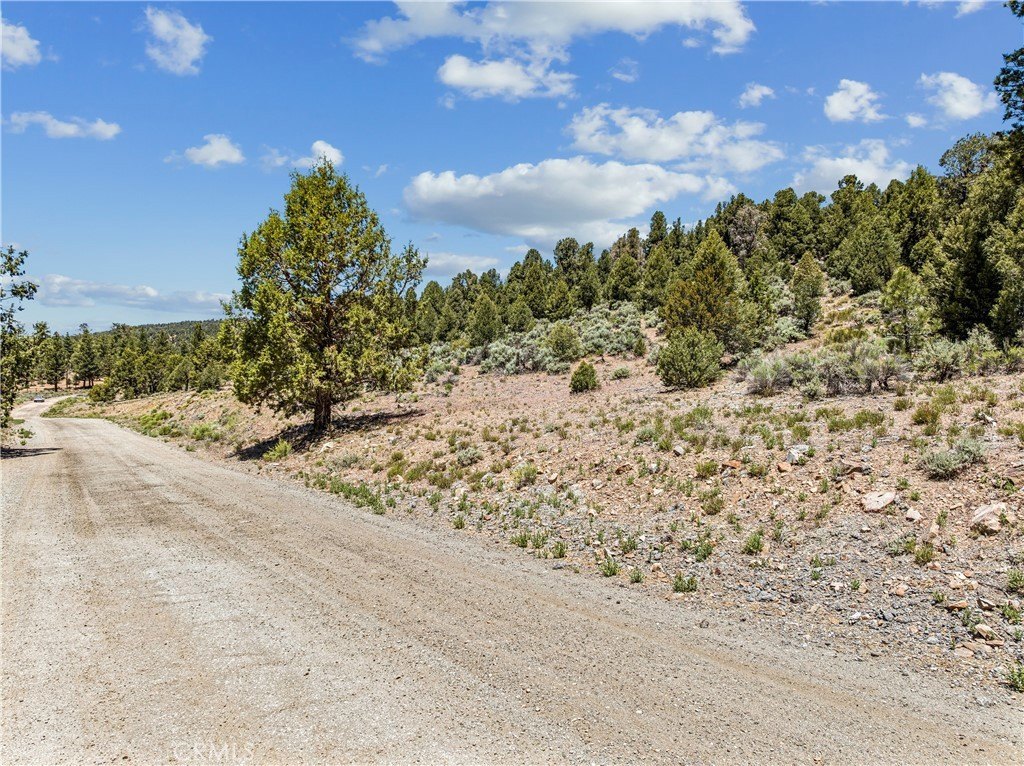 Picture 27