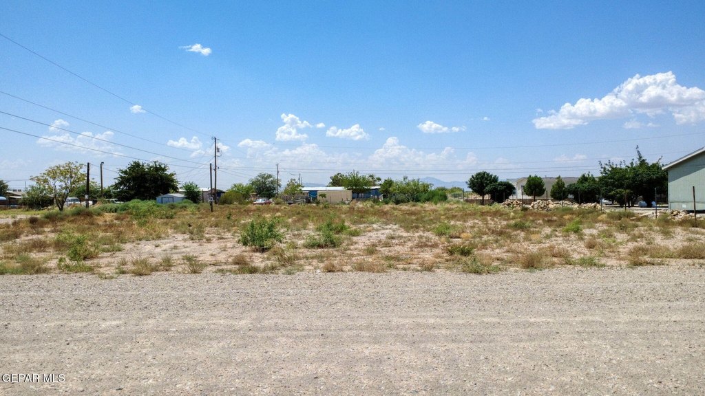 Picture 32