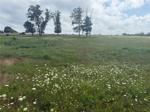 LAND - Gentry, AR