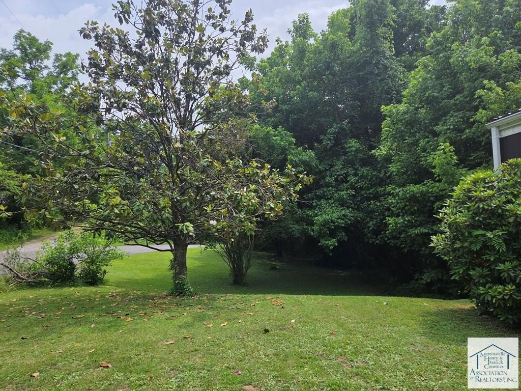Picture 22