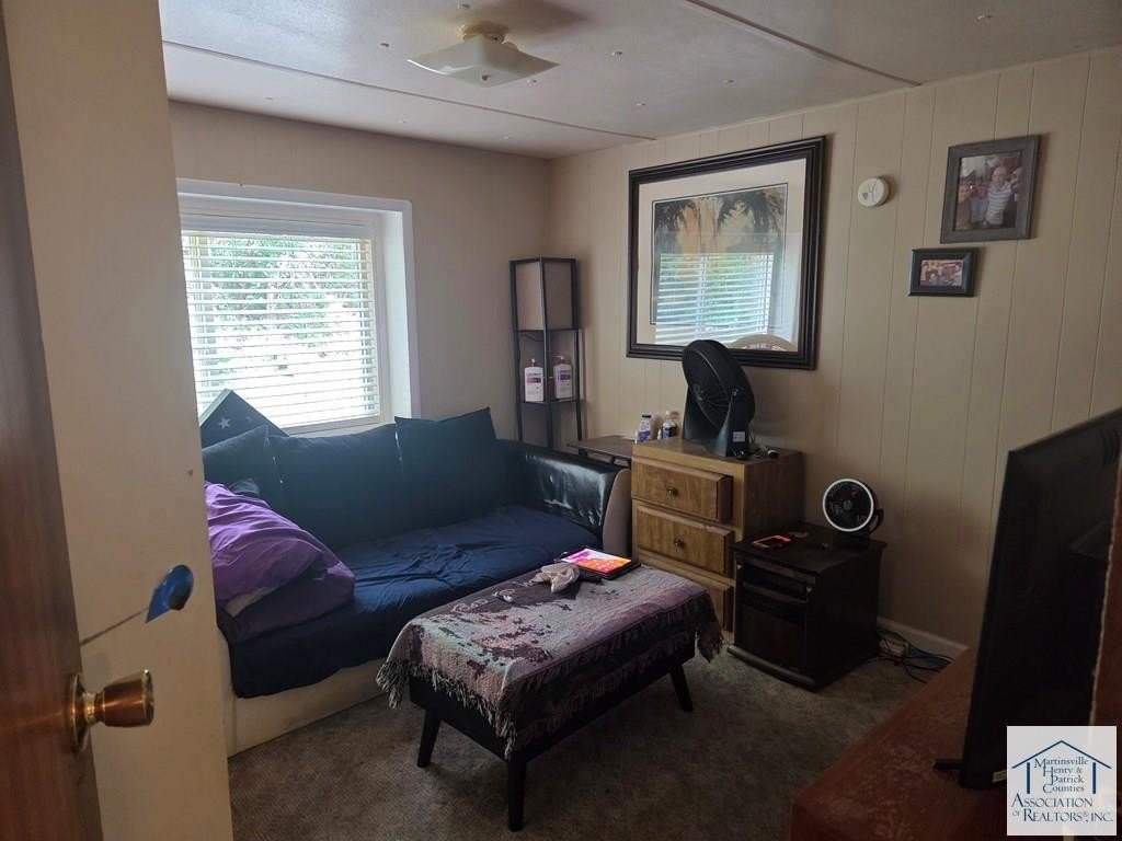 Picture 7
