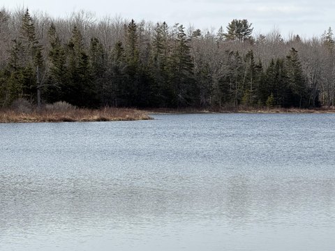 Land, Gouldsboro, ME