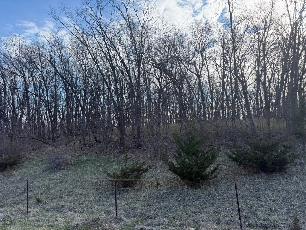 Picture 3