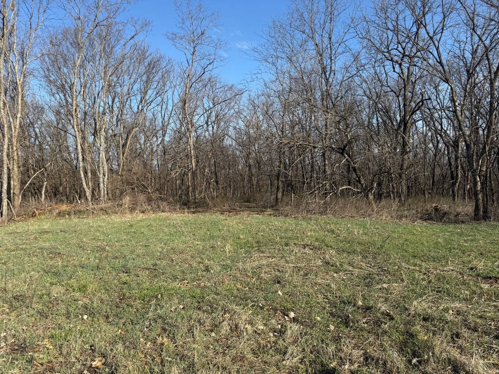 Eagleville, MO Vacant Hunting Land