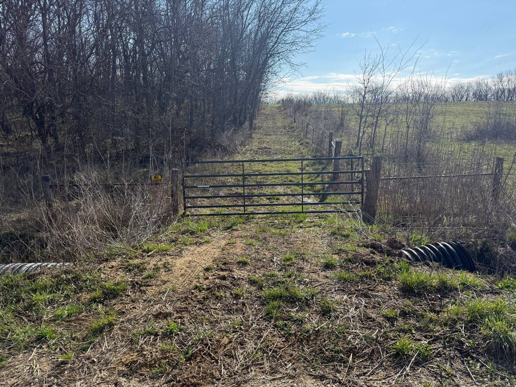 Picture 15