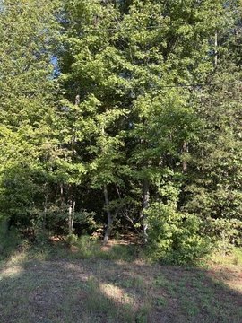 Land, REEDVILLE, VA
