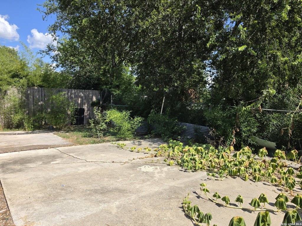 Picture 32
