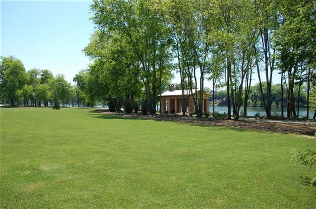Picture 4