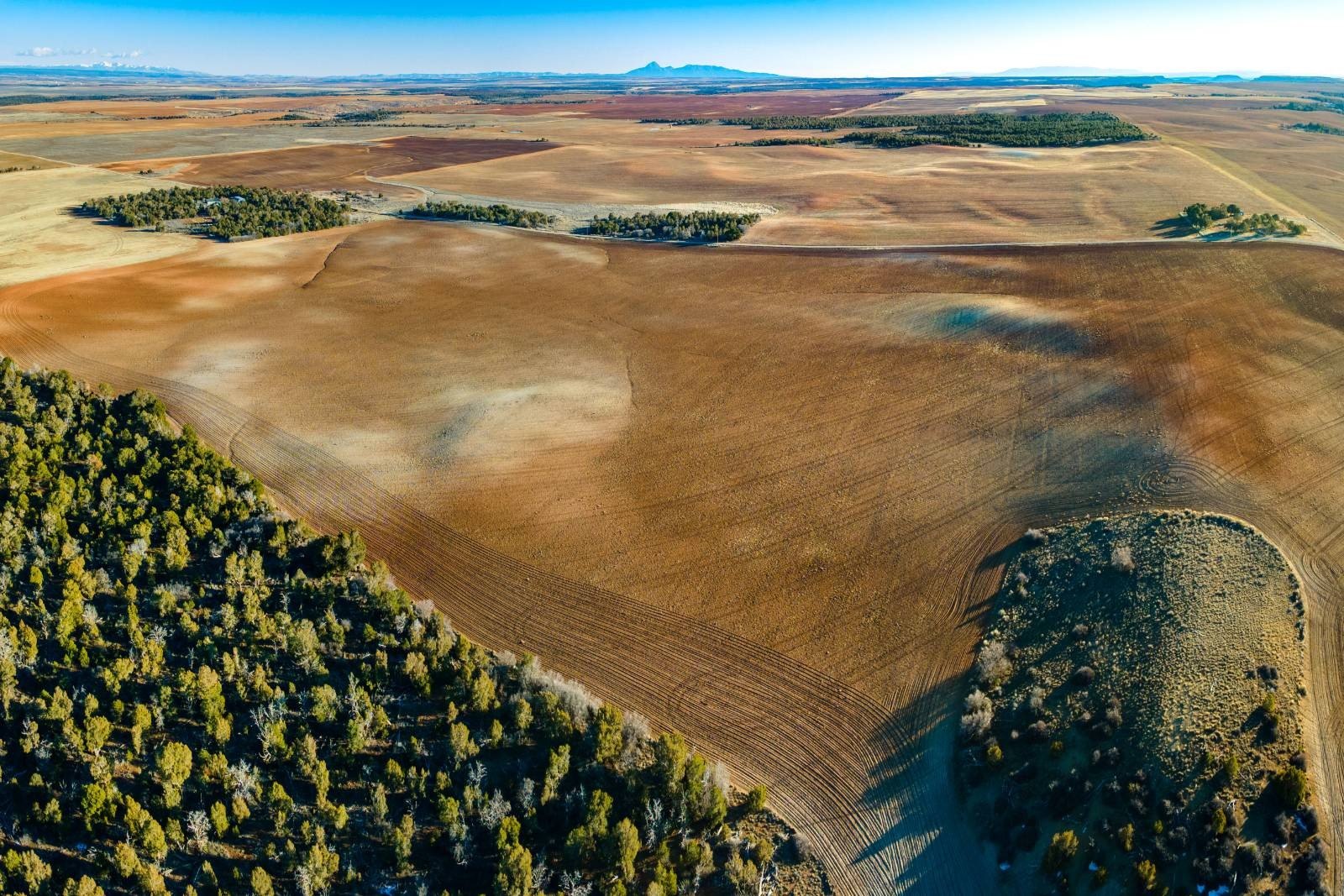 Recreational Land in Four Corners