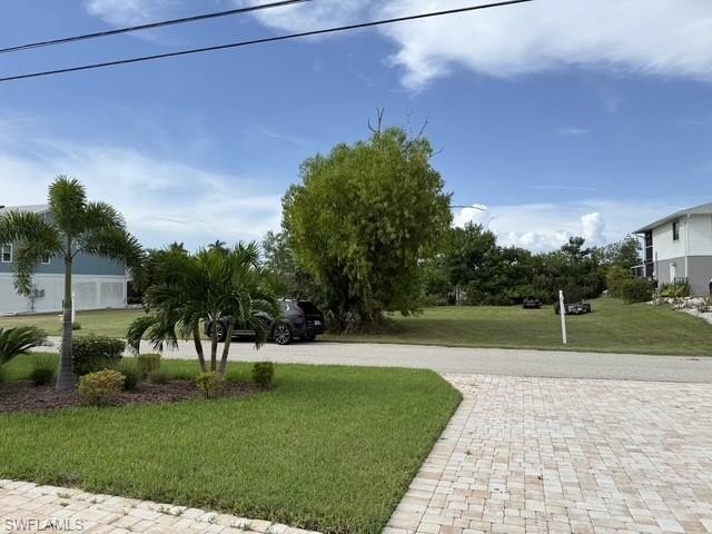Picture 14