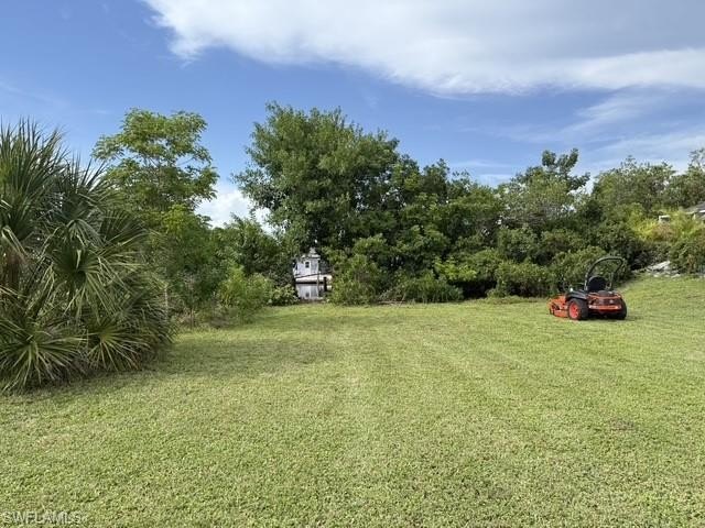 Picture 9