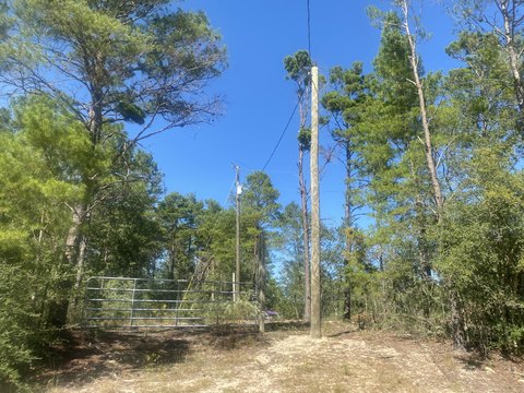One-Acre Homesite in DeFuniak Springs