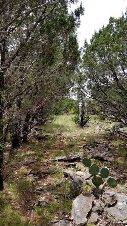 Picture 31