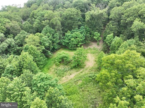LAND - HEDGESVILLE, WV