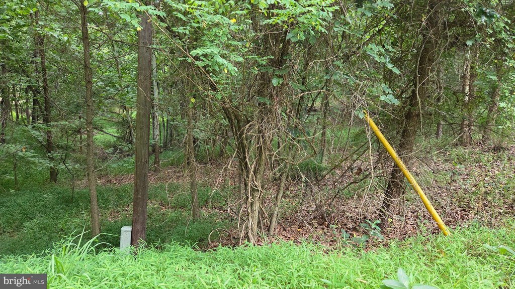 Picture 25