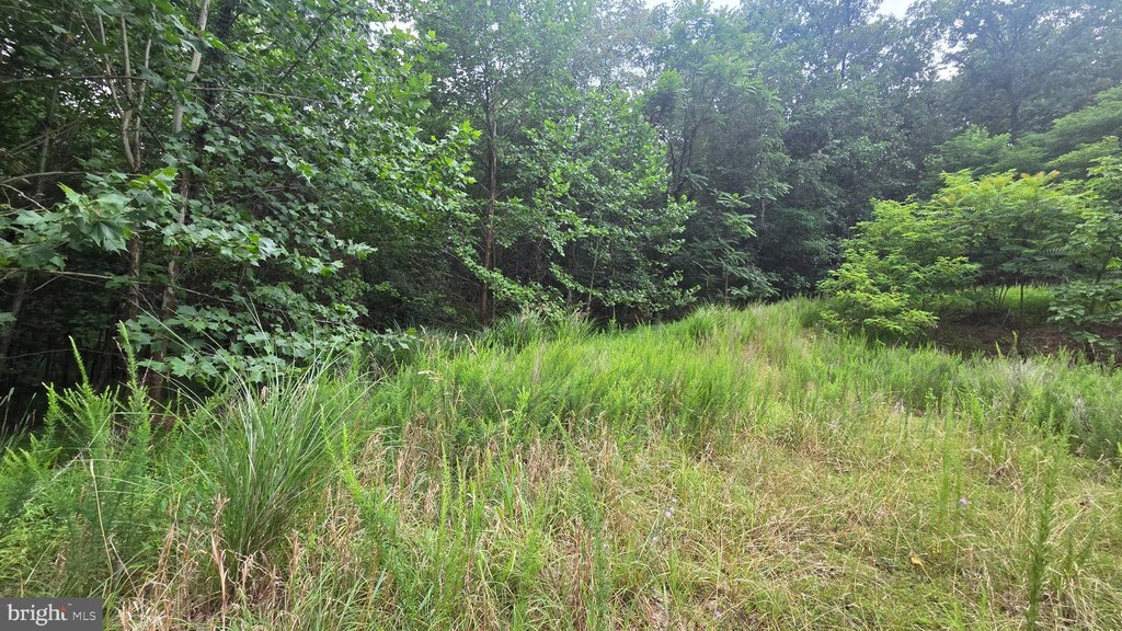 Picture 22