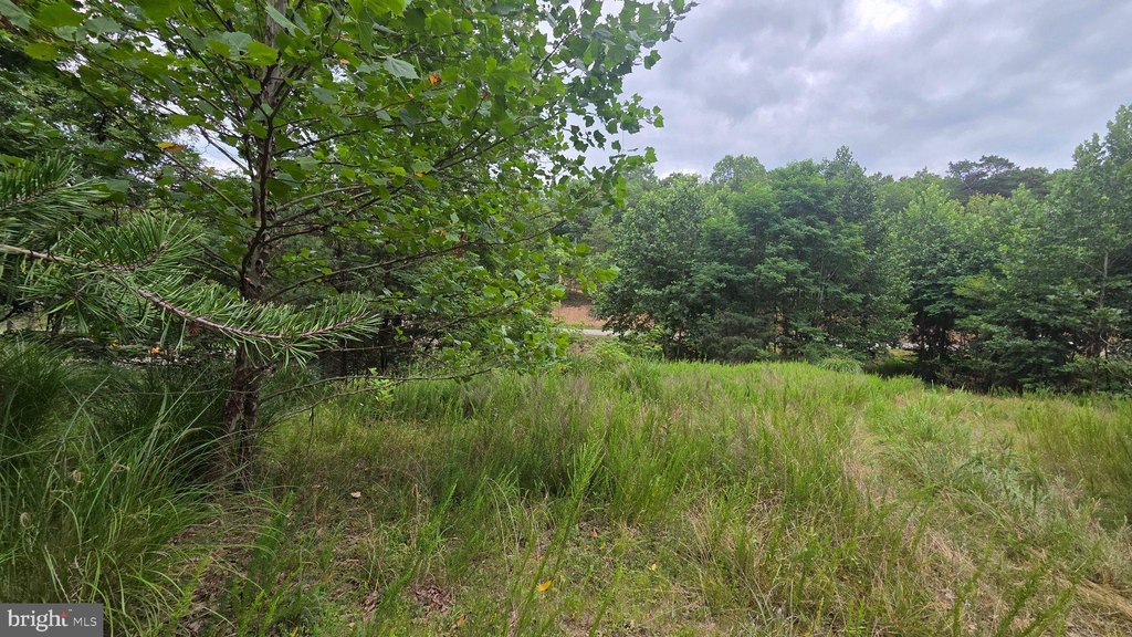 Picture 17