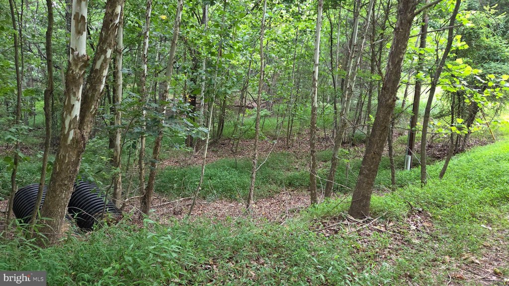 Picture 36
