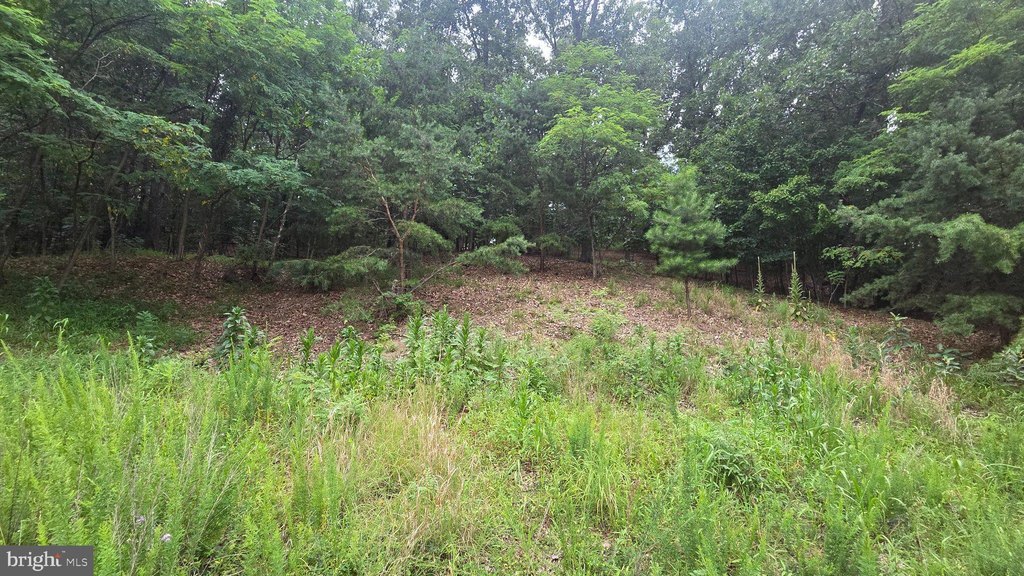 Picture 18