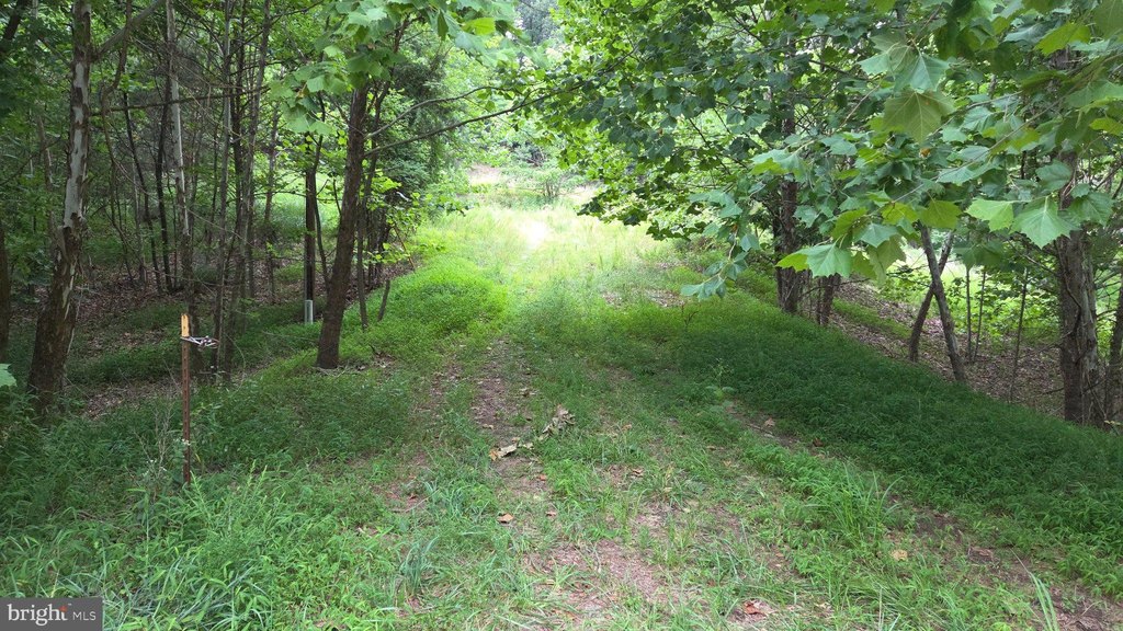 Picture 39